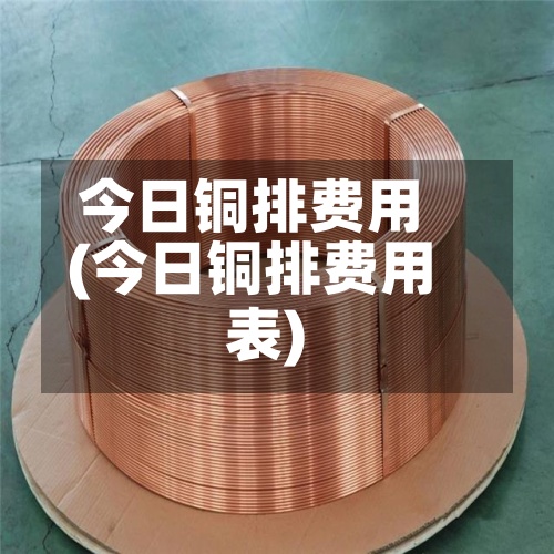 今日铜排费用(今日铜排费用表)-第2张图片