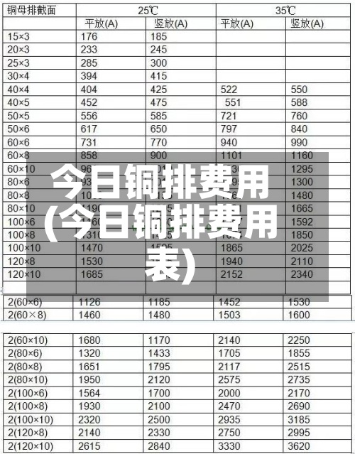 今日铜排费用
(今日铜排费用
表)