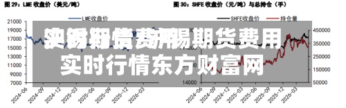 沪锡期货费用实时行情/沪锡期货费用实时行情东方财富网