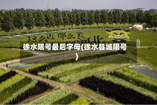 徐水限号最后字母(徐水县城限号)-第2张图片