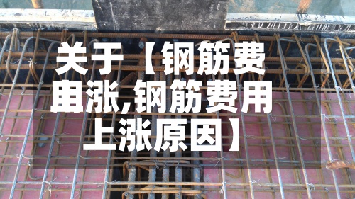 关于【钢筋费用
上涨,钢筋费用
上涨原因】-第2张图片