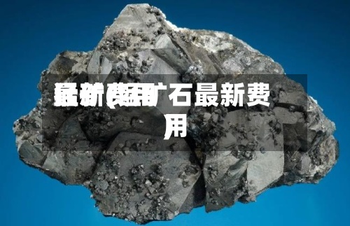 猛矿费用最新(锰矿石最新费用)-第2张图片