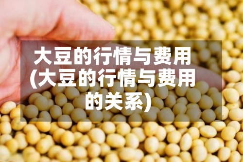大豆的行情与费用
(大豆的行情与费用
的关系)-第2张图片