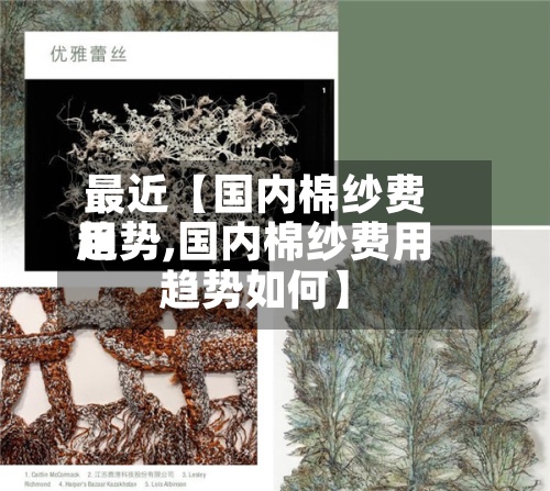 最近【国内棉纱费用趋势,国内棉纱费用趋势如何】-第2张图片