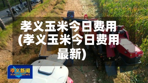 孝义玉米今日费用
(孝义玉米今日费用
最新)
