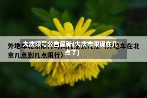 大庆限号公告最新(大庆市限现在几点了)-第3张图片