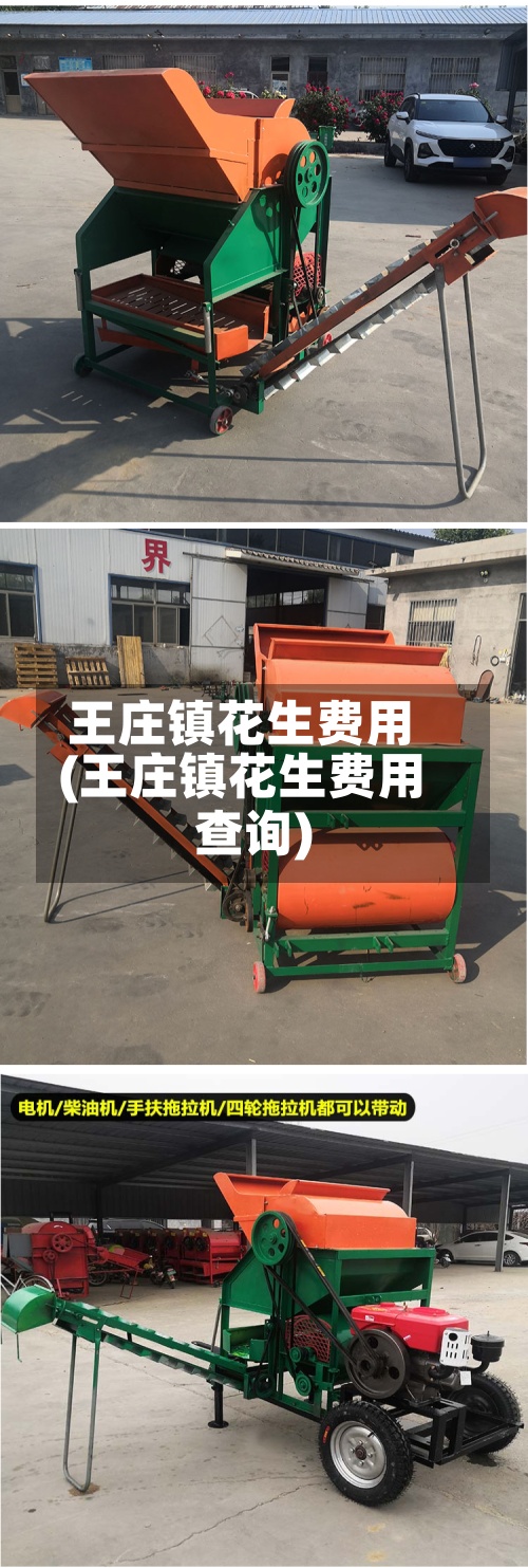 王庄镇花生费用
(王庄镇花生费用
查询)-第2张图片