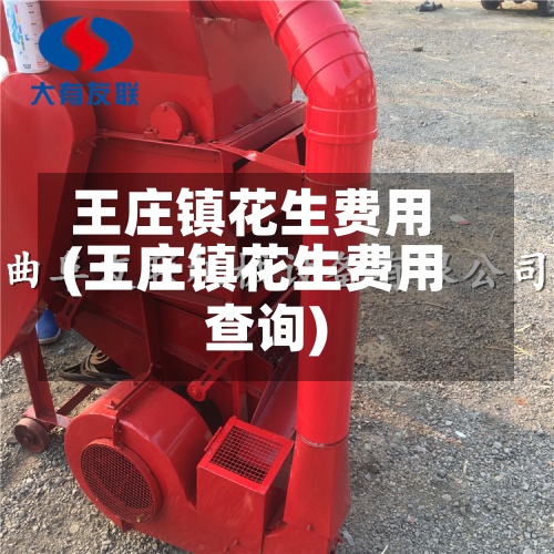 王庄镇花生费用
(王庄镇花生费用
查询)