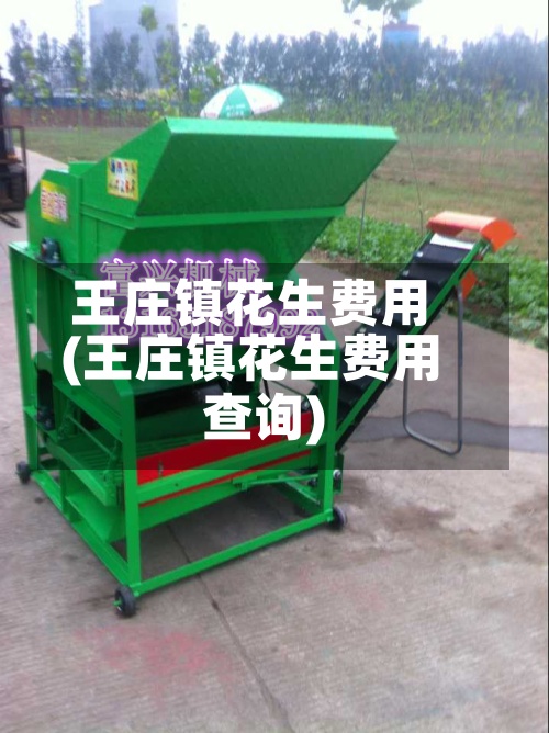 王庄镇花生费用
(王庄镇花生费用
查询)-第3张图片