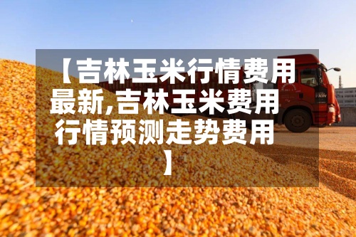 【吉林玉米行情费用最新,吉林玉米费用行情预测走势费用】