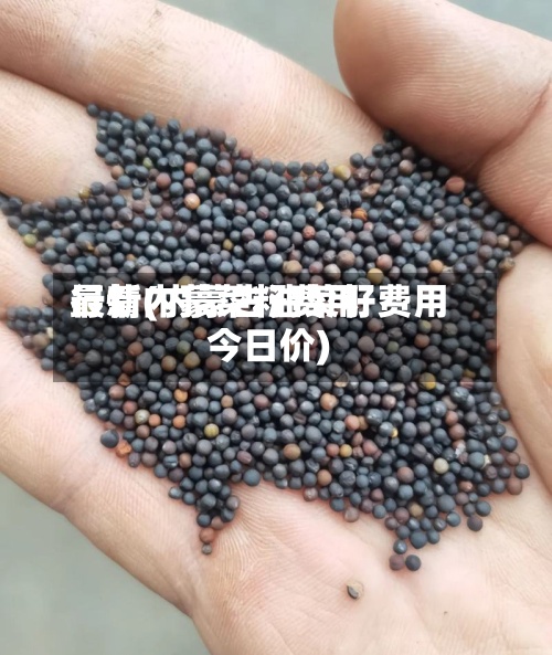最新内蒙菜籽费用行情(内蒙古油菜籽费用今日价)-第3张图片