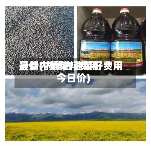 最新内蒙菜籽费用行情(内蒙古油菜籽费用今日价)-第2张图片