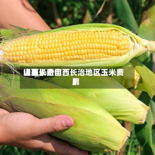 近来
【玉米费用
山西长治山西长治地区玉米费用
】