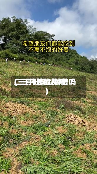 二三月姜的费用
(三月份可以种姜吗)