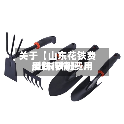 关于【山东花铁费用
,山东铁粉费用
最新行情】