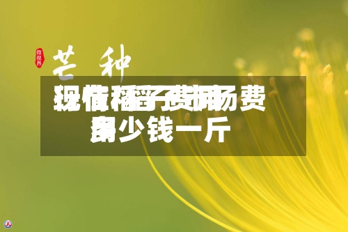 现在稻子费用行情/稻子市场费用多少钱一斤