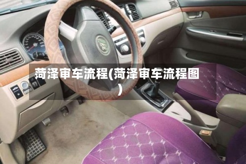 菏泽审车流程(菏泽审车流程图)-第2张图片