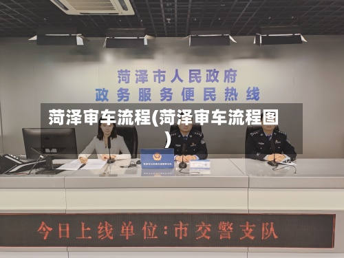 菏泽审车流程(菏泽审车流程图)