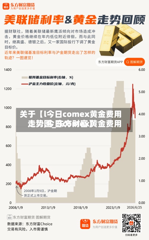 关于【l今日comex黄金费用
走势,今日comex黄金费用
走势图_东方财富】-第3张图片