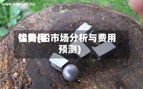铅费用优势(铅市场分析与费用预测)-第3张图片