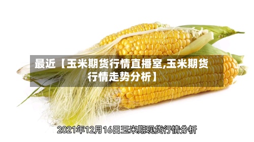 最近【玉米期货行情直播室,玉米期货行情走势分析】-第3张图片