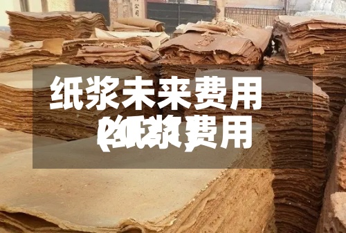 纸浆未来费用
(纸浆费用
2021)-第3张图片