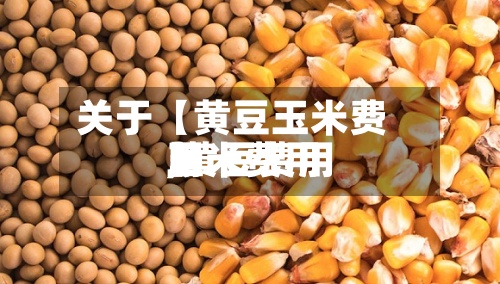 关于【黄豆玉米费用,黄豆费用玉米费用】-第2张图片