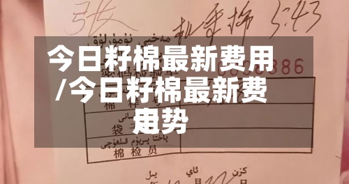 今日籽棉最新费用/今日籽棉最新费用走势-第2张图片