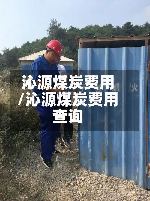 沁源煤炭费用/沁源煤炭费用查询-第3张图片