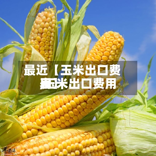 最近【玉米出口费用,玉米出口费用表】-第2张图片