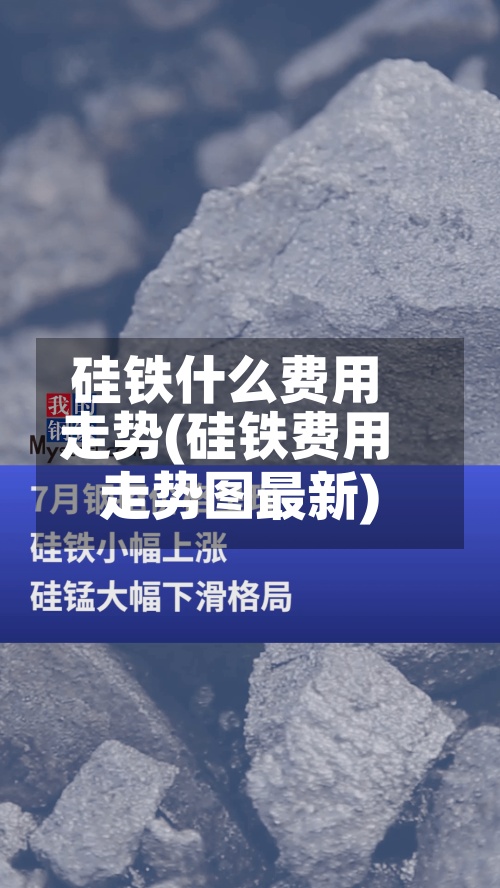 硅铁什么费用
走势(硅铁费用
走势图最新)-第3张图片