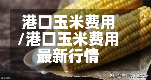 港口玉米费用
/港口玉米费用
最新行情-第2张图片