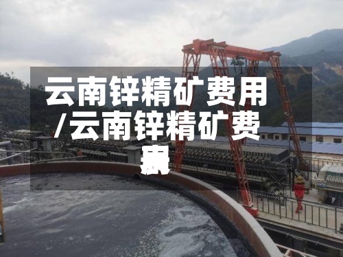 云南锌精矿费用/云南锌精矿费用表
