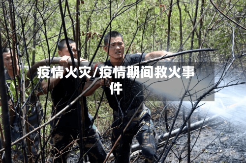 疫情火灾/疫情期间救火事件