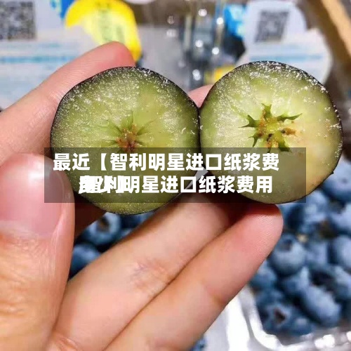最近【智利明星进口纸浆费用,智利明星进口纸浆费用多少】-第2张图片