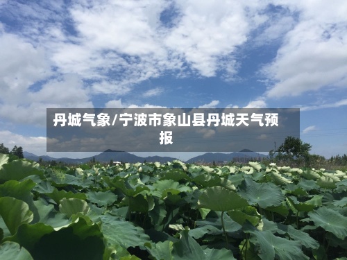 丹城气象/宁波市象山县丹城天气预报