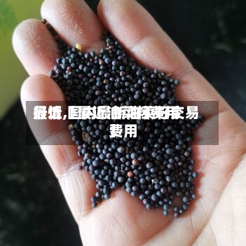 最近【最近油菜籽费用行情,国内最新油菜籽交易费用】