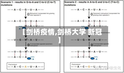【剑桥疫情,剑桥大学 新冠】