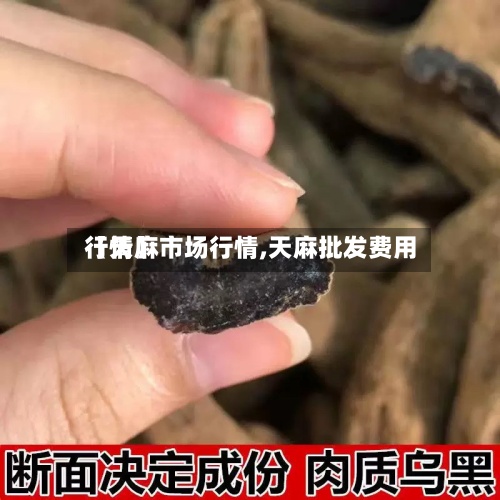 【天麻市场行情,天麻批发费用
行情】-第2张图片