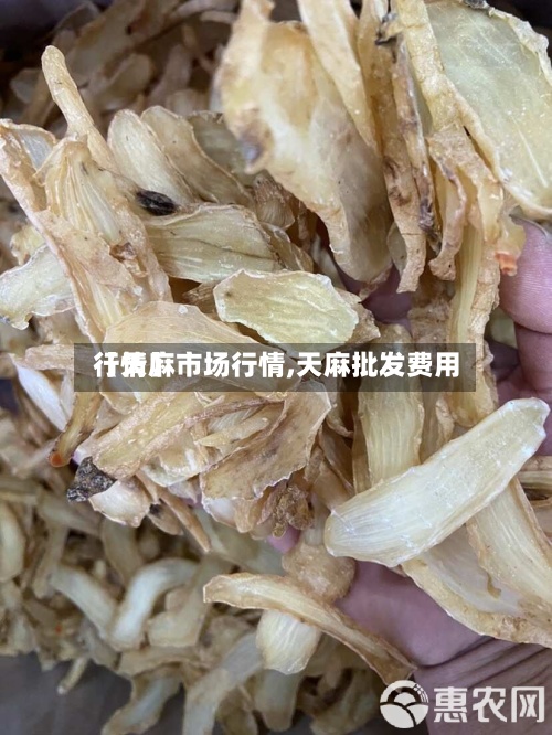 【天麻市场行情,天麻批发费用
行情】