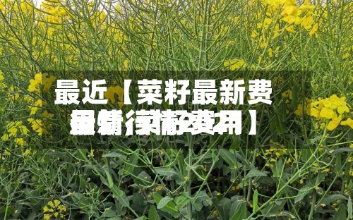 最近【菜籽最新费用
行情,菜籽费用
最新行情2021】