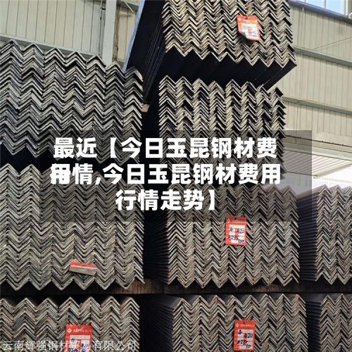 最近【今日玉昆钢材费用行情,今日玉昆钢材费用行情走势】