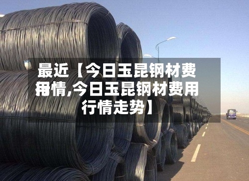 最近【今日玉昆钢材费用
行情,今日玉昆钢材费用
行情走势】-第2张图片