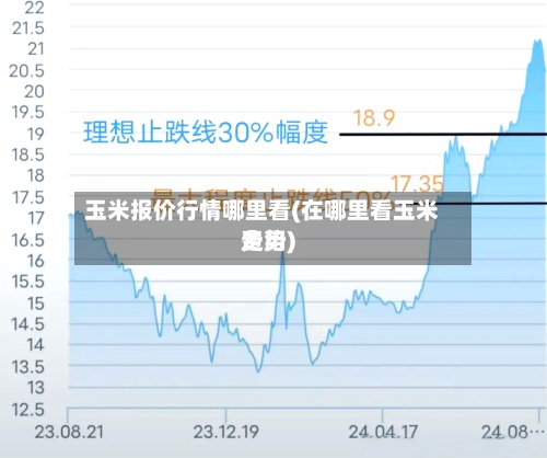 玉米报价行情哪里看(在哪里看玉米费用走势)