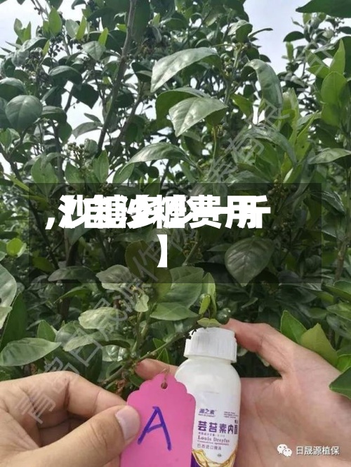 【自沙糖费用,沙糖多少一斤】-第2张图片