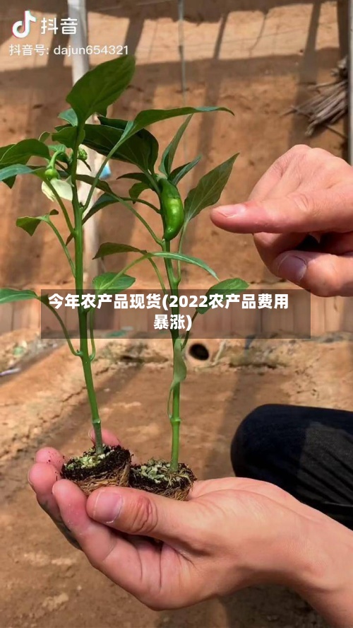 今年农产品现货(2022农产品费用
暴涨)