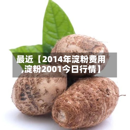 最近【2014年淀粉费用
,淀粉2001今日行情】-第3张图片