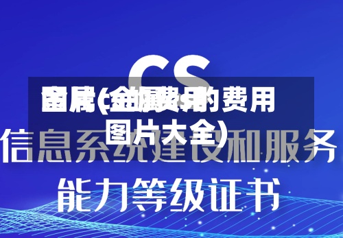 金属cs的费用图片(金属cs的费用图片大全)
