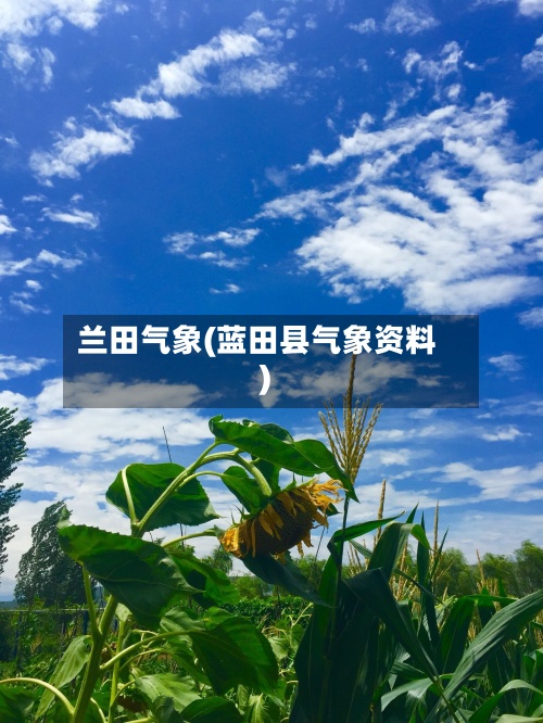 兰田气象(蓝田县气象资料)