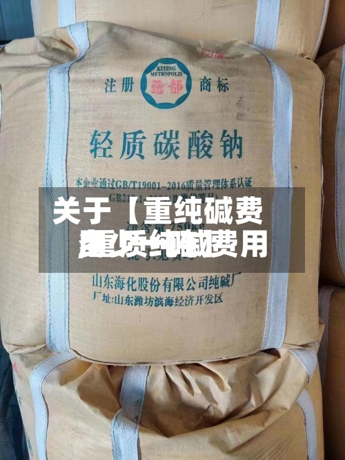 关于【重纯碱费用,重质纯碱费用多少一吨】-第2张图片
